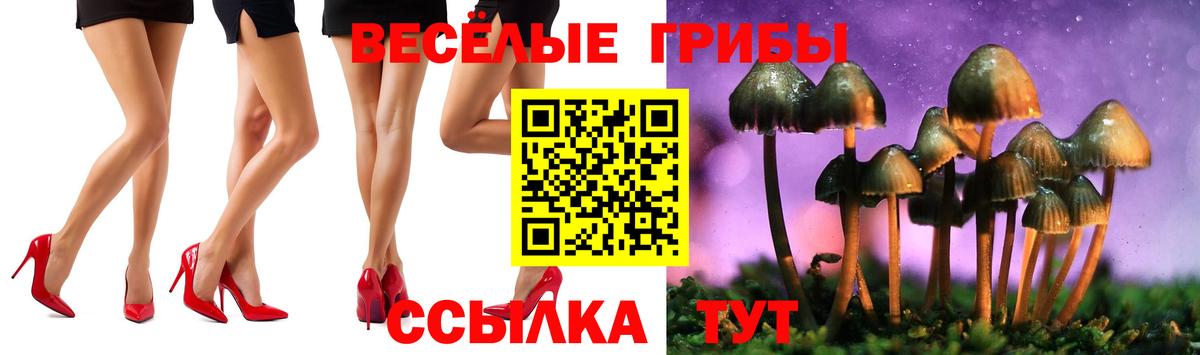 цена наркотик  Галлюциногенные грибы Cubensis  Вход с VPN  Сердобск 